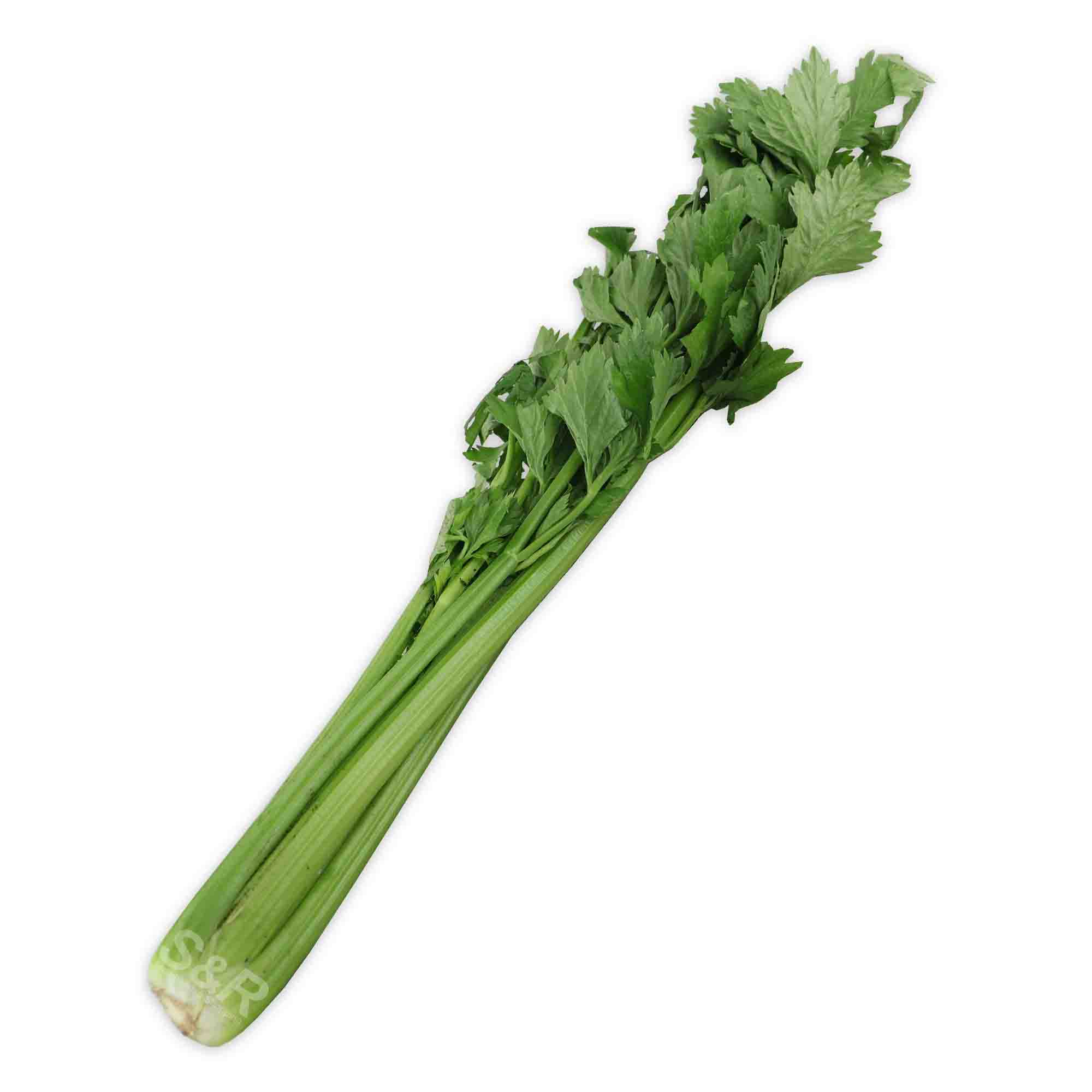 S&R Celery approx. 1kg